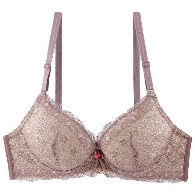 Lace Bra 02